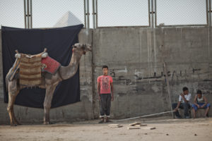 CAIRO, EGYPT - OCTOBER 18 : Camel Jockey, Mohammad Mousa at the Great Pyramids on October 18, 2011 in the village of Nazlet El Samman in Giza, Egypt. (Photo by Kim Badawi/Global Post)