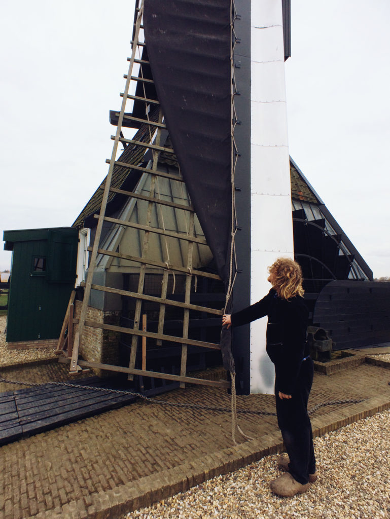 A Kinderdijk miller reefs the dark, acacia-died sailcloth, on his windmill. 