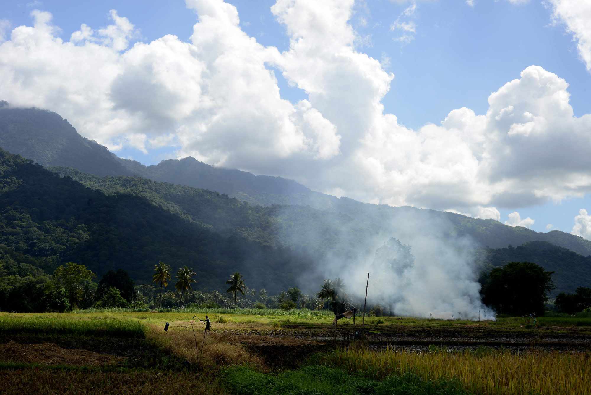The Kilombero Valley, where the Barabaig people live, is one of the areas where SAGCOT is investing in commercial agriculture. The Tanzanian government launched SAGCOT in 2010 to promote economic growth in Tanzania’s southern corridor, which covers a third of mainland Tanzania and extends from the capital, Dar es Salaam, to Tanzania’s border with Zambia.