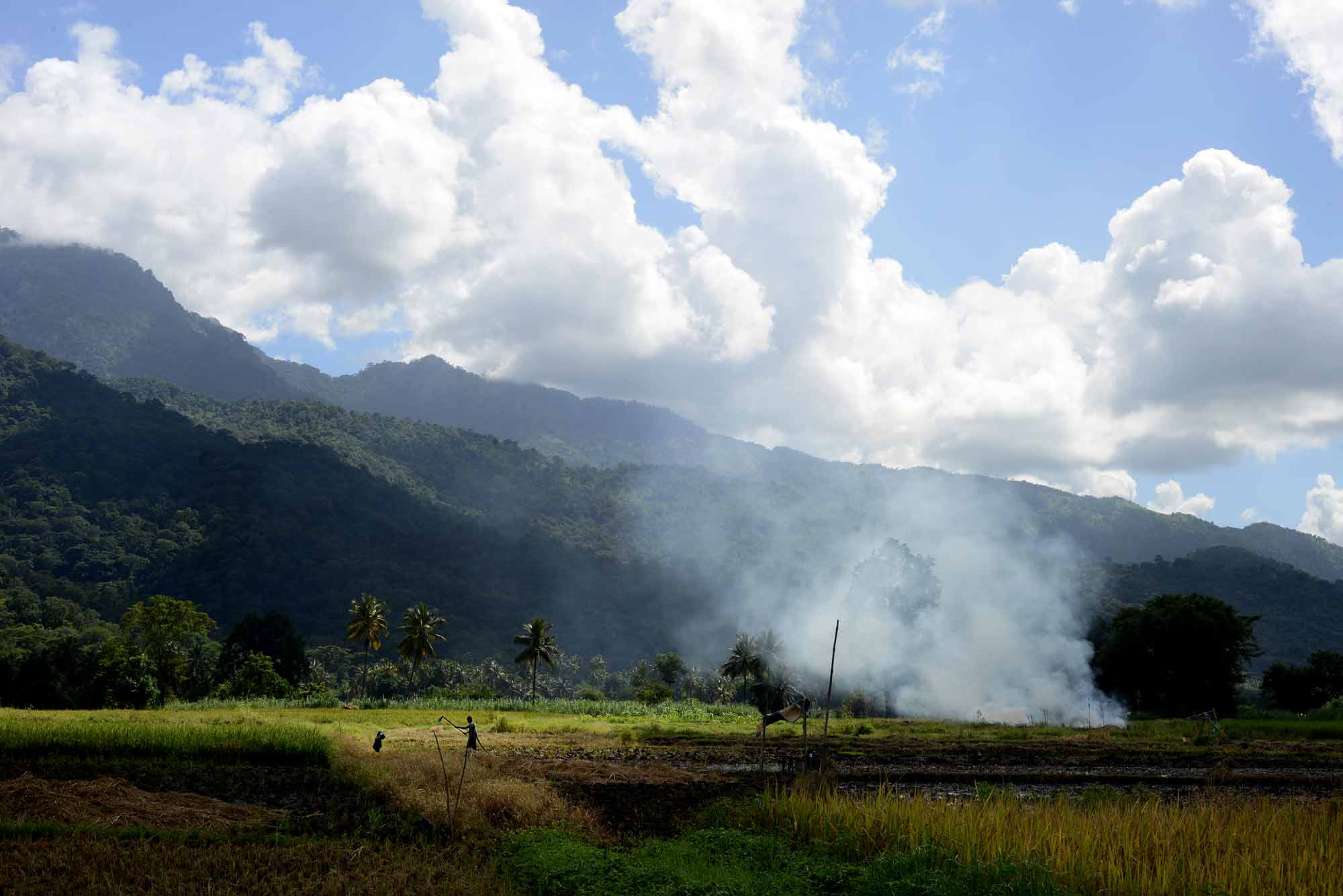A view of the Kilombero Valley, where SAGCOT is investing in commercial agriculture. The Tanzanian government launched SAGCOT in 2010 to promote economic growth in Tanzania’s southern corridor, which covers a third of mainland Tanzania. (Photo by Dana Ullman/GroundTruth)