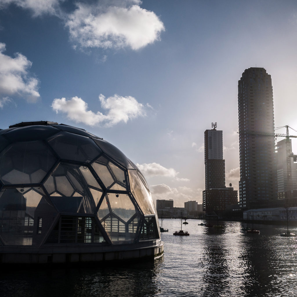 Looking out from Rotterdam's "floating pavilion" onto the Kop van Zuid, a former port area redeveloped into an office district. The De Rotterdam building (a "vertical city" according to architects OMA) looms over the "bobbing forest," a cluster of trees floating on buoys in the Rijnhaven harbor. (Photo by Joris van Gennip/The GroundTruth Project)