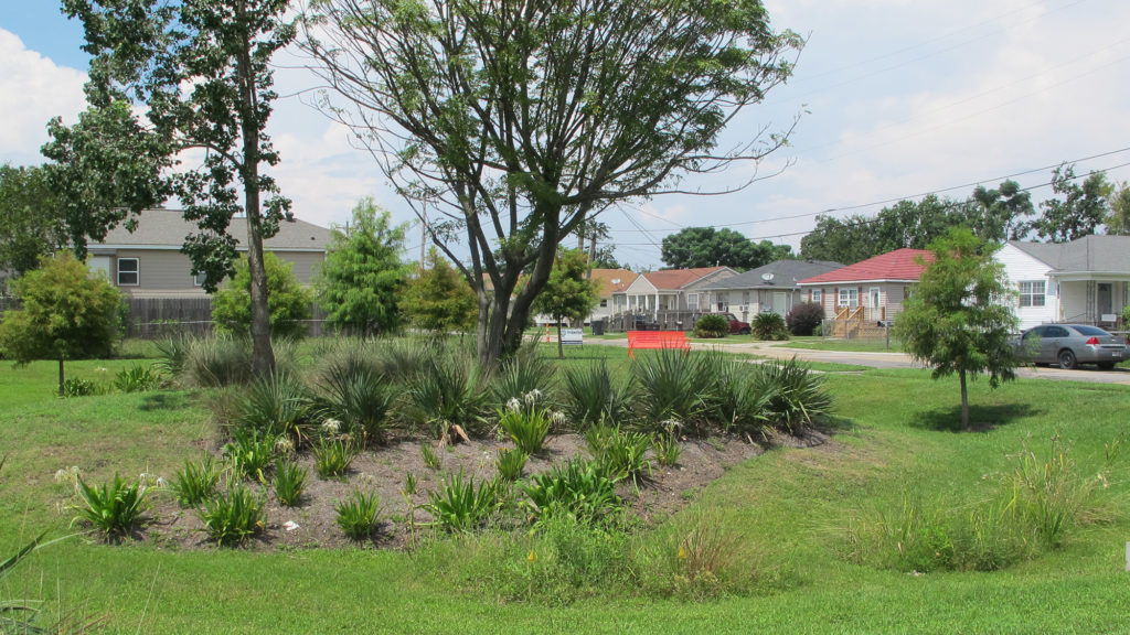 When dry, these "water-gardens" will serve as recreational areas that will beautify the area according to Charles Allen, Resilience Outreach Manager for NORA. (Photo by Carolyn Holtzman/GroundTruth)