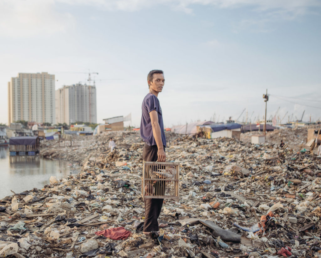 A man with his pigeons poses for a photograph in the Pasar Ikan district of North Jakarta, which was recently bulldozed, leaving its residents homeless. (Photo by Muhammad Fadli)