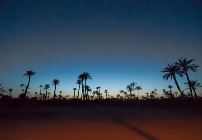 The GroundTruth Project reported from COP22, the world's largest summit on climate change, in Marrakech.