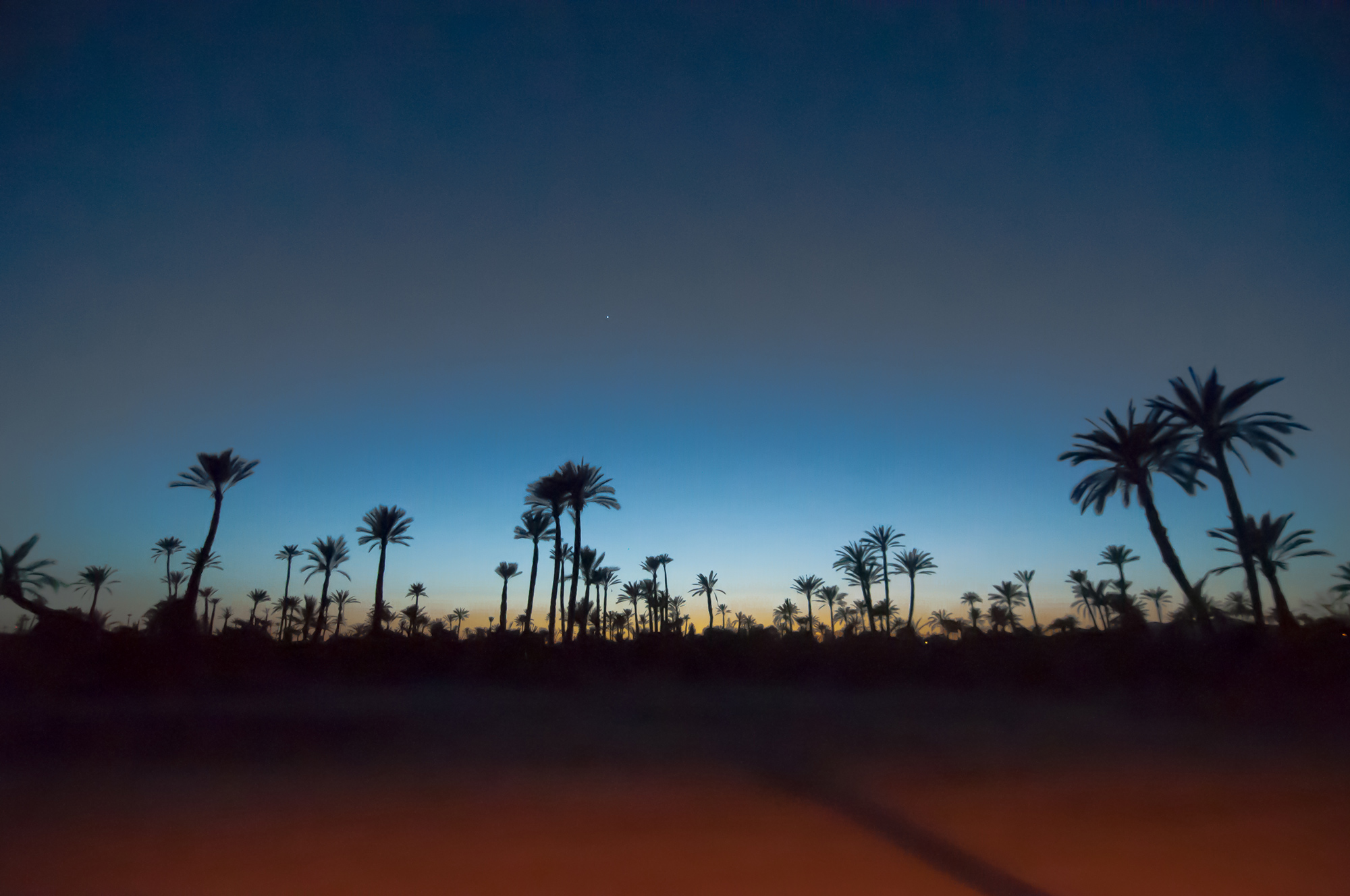 The GroundTruth Project reported from COP22, the world's largest summit on climate change, in Marrakech.