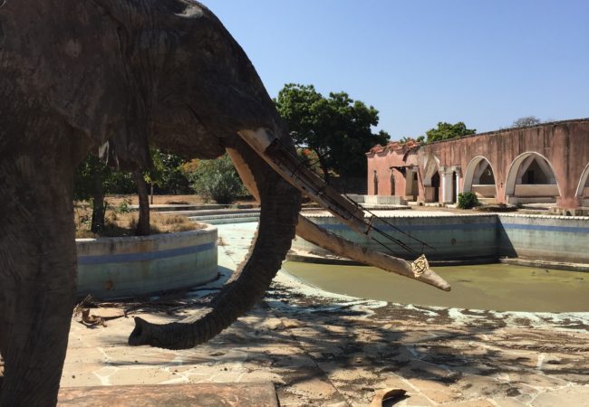 Abandoned theme park in Diani Beach, Kenya. Tourist region suffered with terrorist attacks that prompted strict travel warnings from Western governments. (Photo by Kevin Grant/GroundTruth)