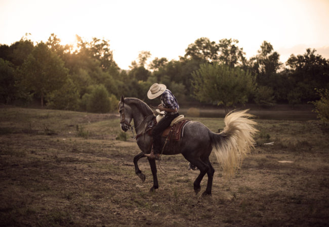 Marcos Espinoza, 17, goes for his daily ride on his favorite horse, Maximo, at the family ranch in Bowling Green, Kentucky. Marcos is the son of immigrant parents from Guatemala and Mexico, and he wants to carry on the legacy of his culture in the United States. (Photo by Betina Garcia/GroundTruth)