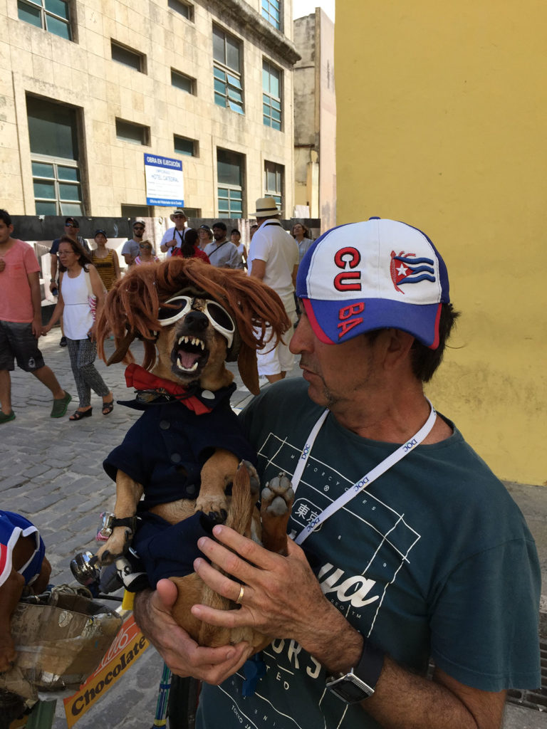 Pillo, a street performer in Havana, holds his dog, Chocolate, who he dressed up as President Trump. (Photo by Charles Sennott/GroundTruth)