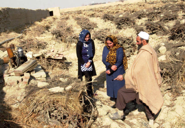 Farmer Hafizallah with his two daughters, Maryam, 23, and Goldasta, 24, in Afghanistan's Hindu Kush mountain valley. The father's income, made from harvesting grapes and selling raisins, has dropped by 85 percent in recent years because of a drought exacerbated by climate change. (Photo via GroundTruth Films)