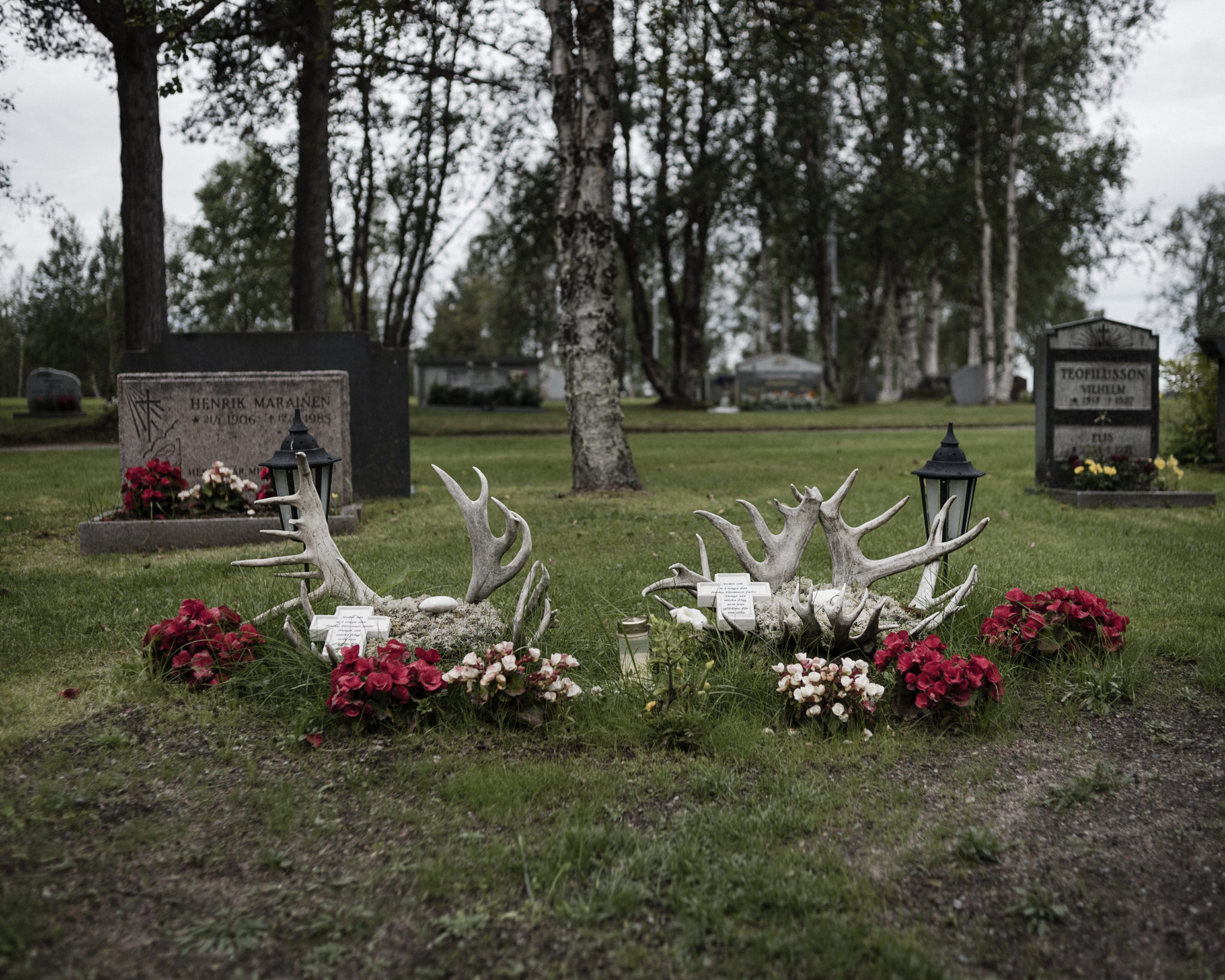The graves of Gustu and Heaika Marainen are decorated with flowers and antlers. The two young men, both indigenous reindeer herders in Arctic Scandinavia, took their lives in a time when climate change is jeopardizing their way of life. Click on the photo to see the story. (Photo by Camilla Andersen/GroundTruth)