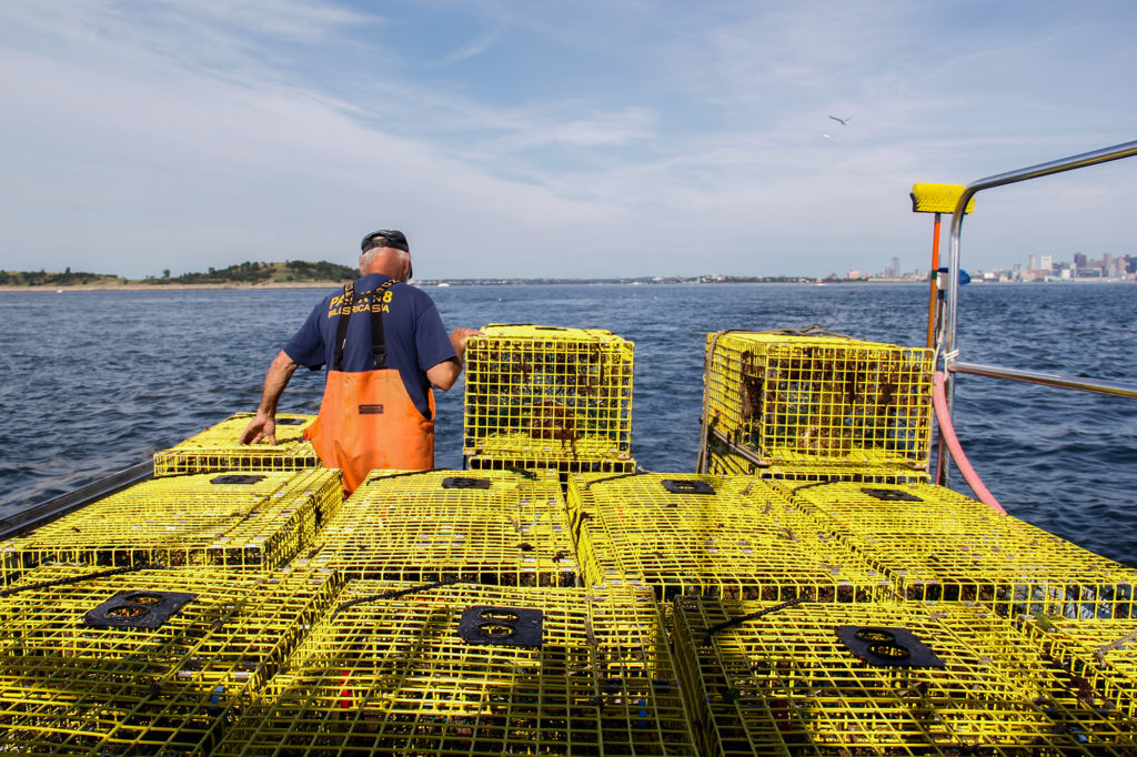 Captain Fred Penney is a lobsterman based out of Boston Harbor. He agrees that fishing regulations should take environmental conservation into account, but thinks designating the Northeast Seamounts and Canyons as a national monument circumvented the fisheries management process. (Ellen Kazinger/GroundTruth)