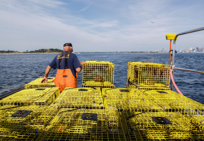 Captain Fred Penney is a lobsterman based out of Boston Harbor. He agrees that fishing regulations should take environmental conservation into account, but thinks designating the Northeast Seamounts and Canyons as a national monument circumvented the fisheries management process. (Ellen Kazinger/GroundTruth)