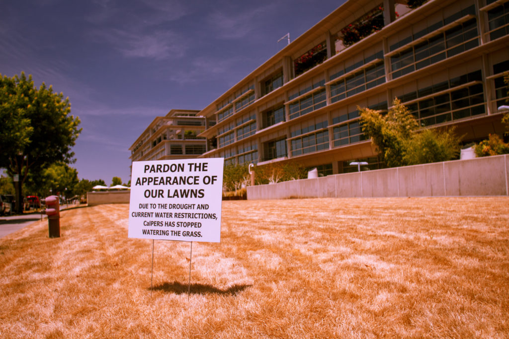 Katharine Mieszkowski reported on the largest residential water users during the California drought. (Kevin Cortopassi/Flickr Creative Commons)