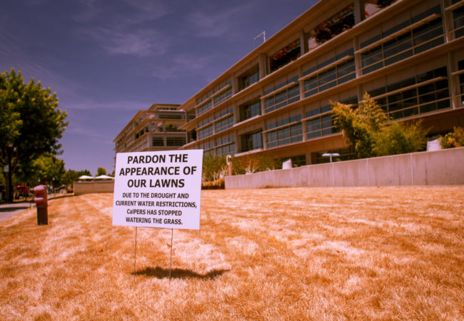 Katharine Mieszkowski reported on the largest residential water users during the California drought. (Kevin Cortopassi/Flickr Creative Commons)