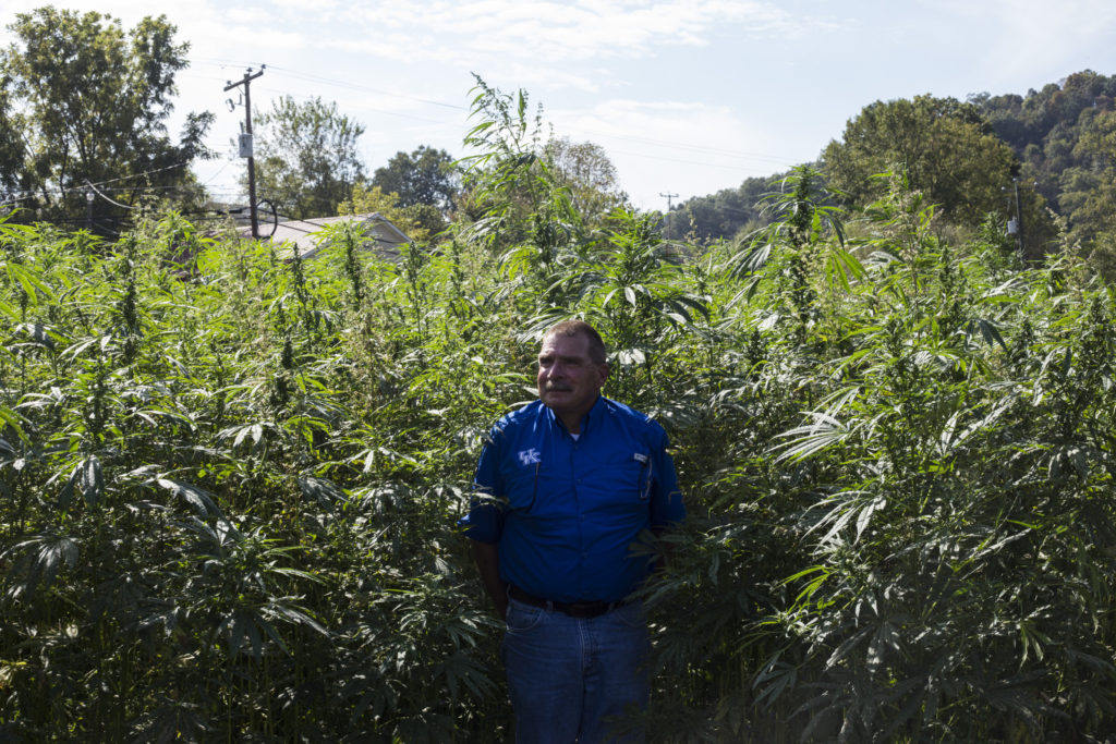 David Williams, a University of Kentucky Agronomist and Director of the Robinson Center for Appalachian Resource Sustainability in Quicksand, Kentucky, on Monday, September 25, 2017. (Photo by Brittany Greeson)