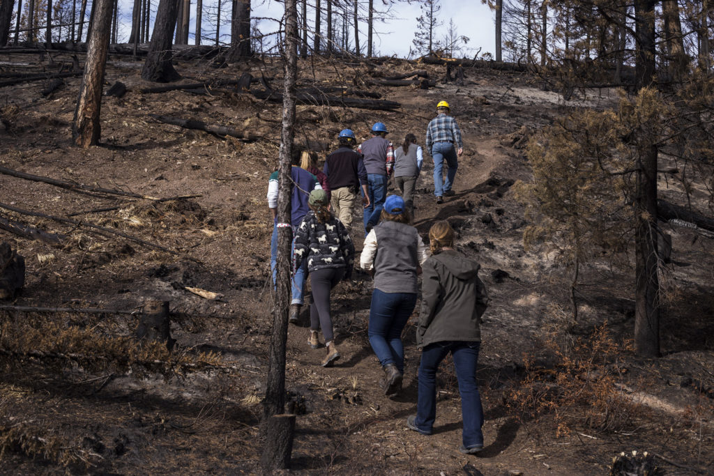 Members of the Southwestern Crown Collaborative hike up a mountainside to get a view of the Rice Ridge Fire burn sites outside of Seeley Lake, Montana, on Thursday, October 19, 2017. (Photo by Brittany Greeson)