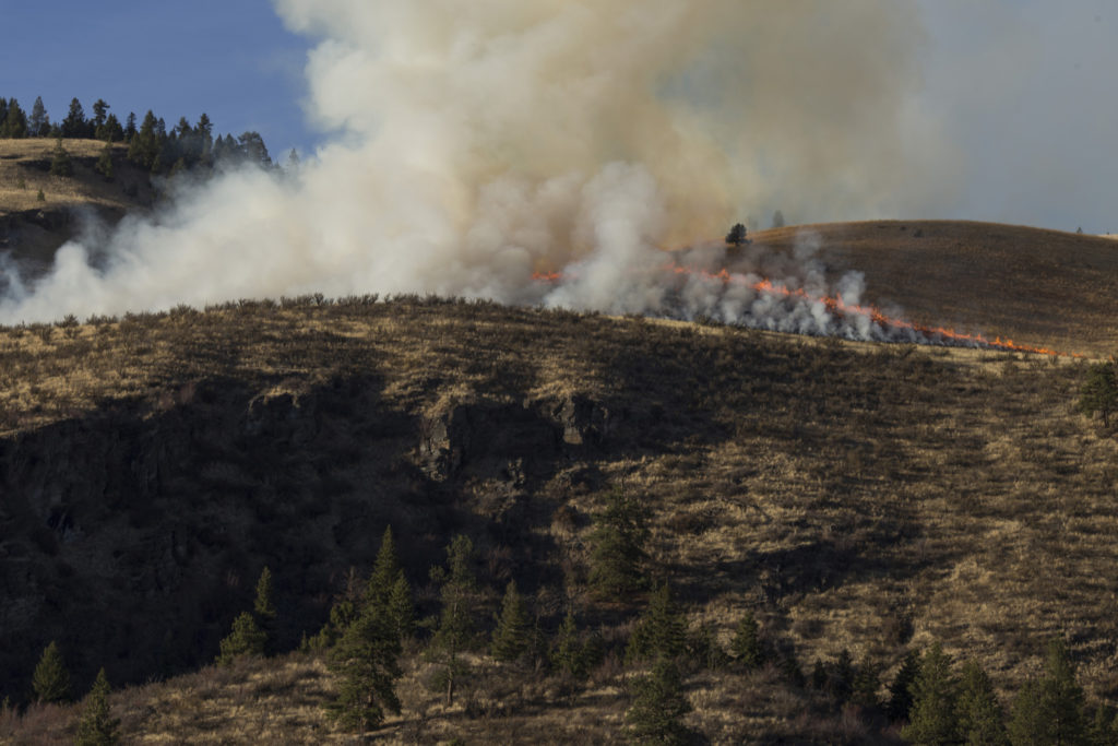 A prescribed burn prepared by the Confederated Salish and Kootenai Tribes Division of Fire skims the ridge line just outside of Elmo, Montana, on Tuesday, October 24, 2017. (Photo by Brittany Greeson)