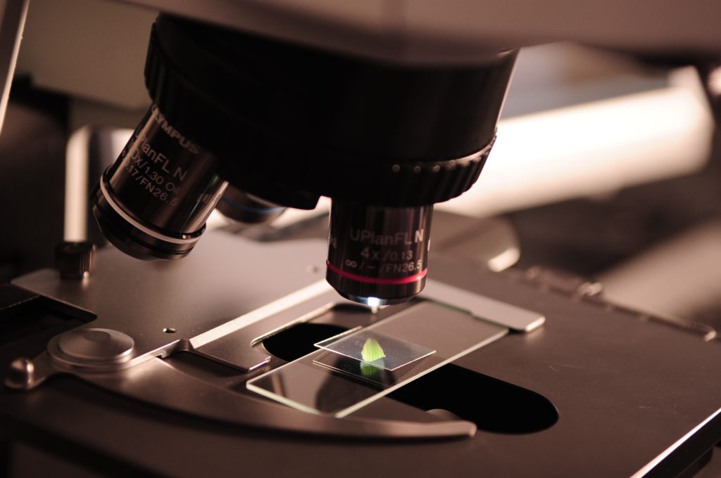 science microscope