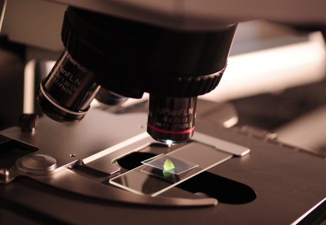science microscope