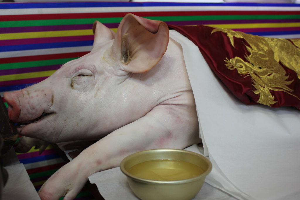 The largest offering during Choi’s ceremony was a dead pig, whose fertility symbolized the financial success that Choi was looking for in the upcoming year. (Miranda Mazariegos/GroundTruth)