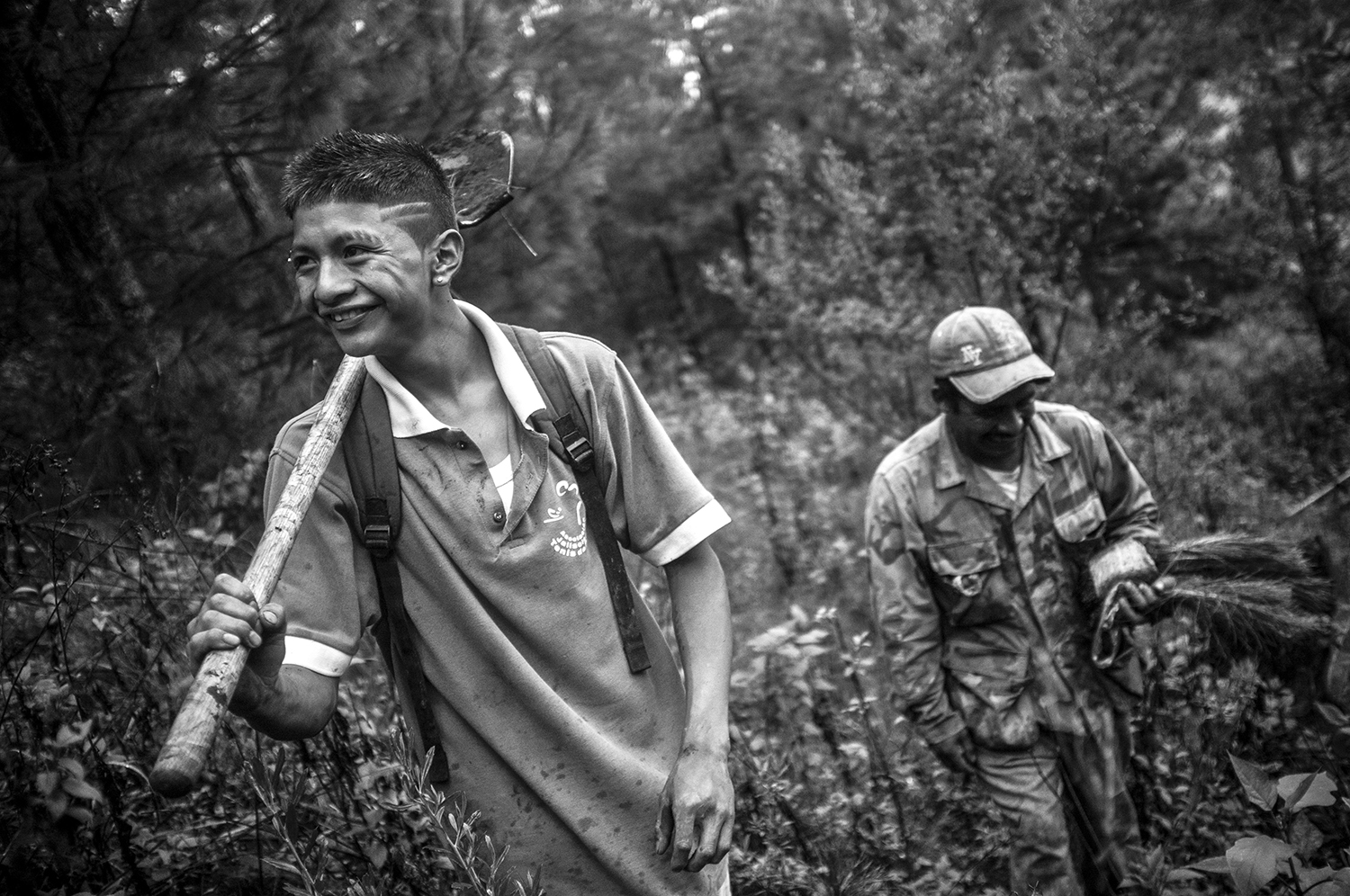 Reforestation2