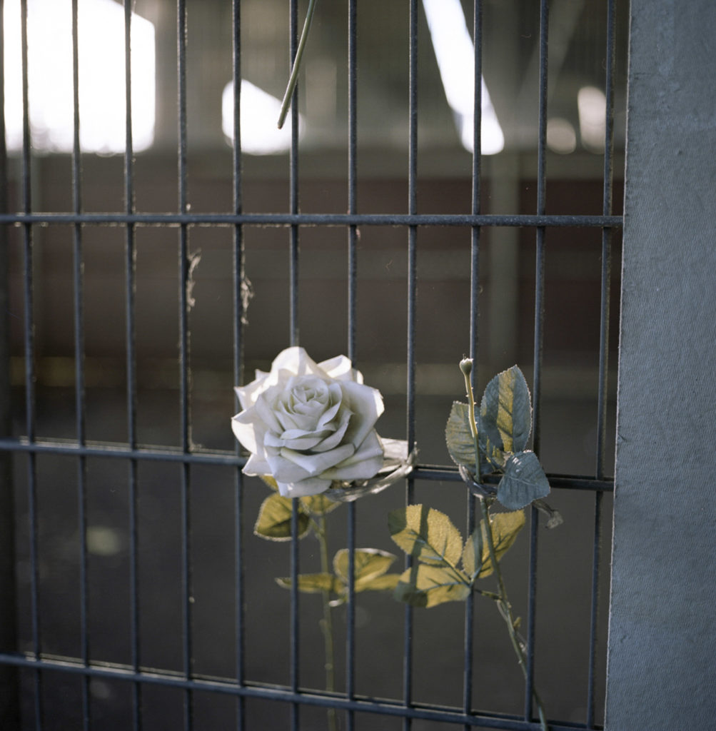 A flower was left between the wires of a fence beneath the Westway on Latimer Road in honor of the Grenfell victims of June 14th, 2017.