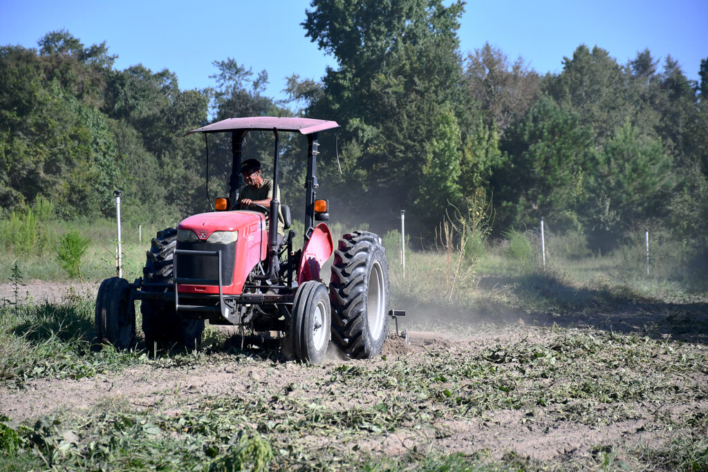 A man uses a red tractor on his farm.