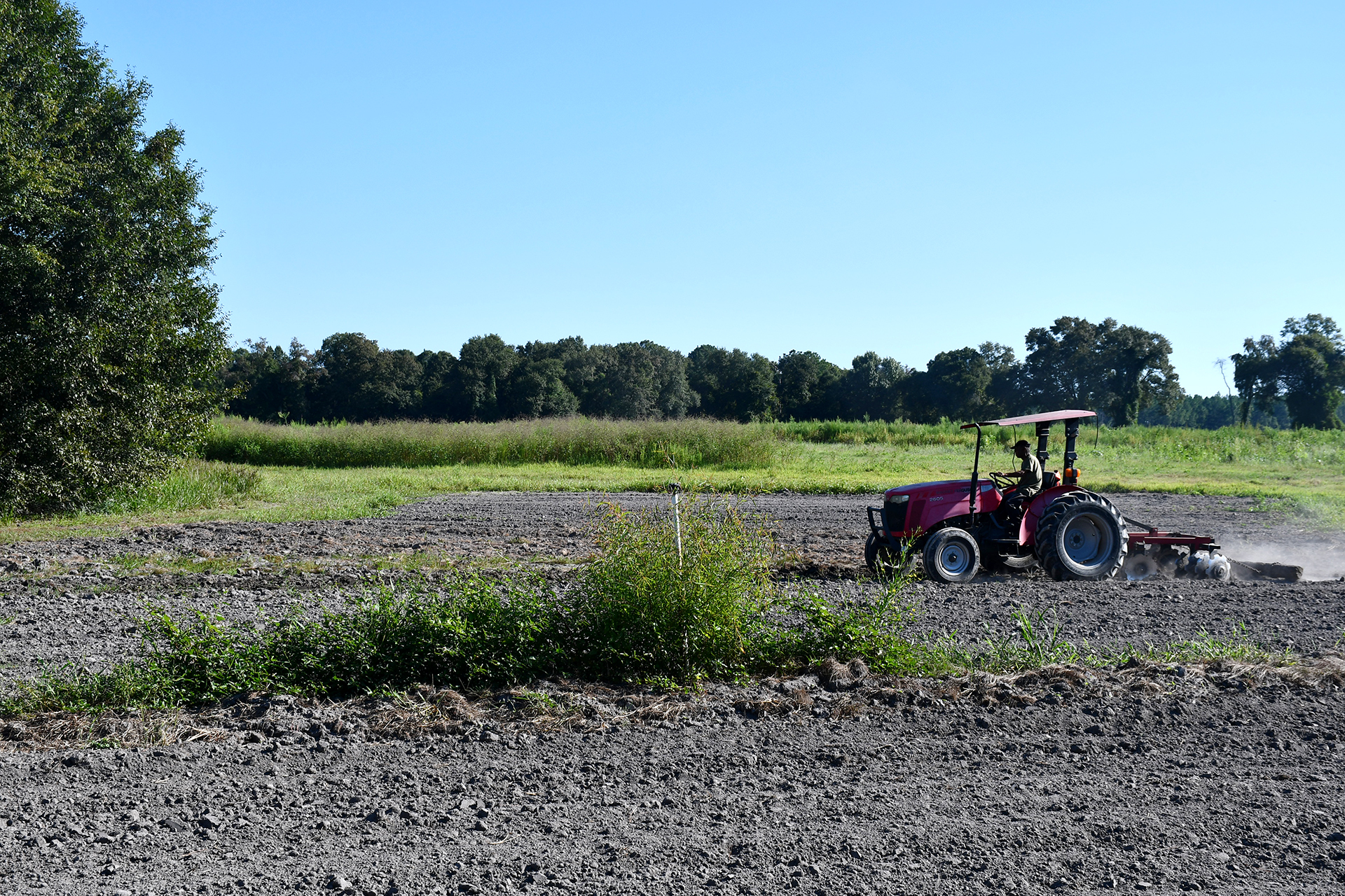 A man uses a red tractor on his farm.