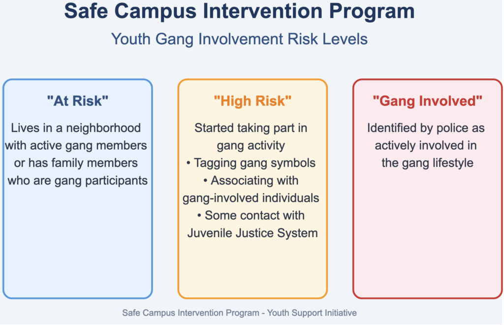 This is a fact box for the Safe Campus Intervention Program showing descriptions for at-risk, high-risk and ganag-involved" students